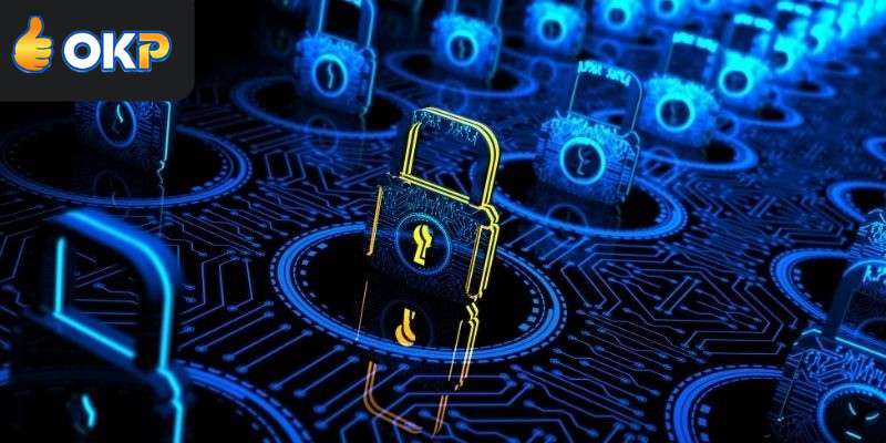 Quy Trình OKP Thu Thập và Sử Dụng Thông Tin Minh Bạch