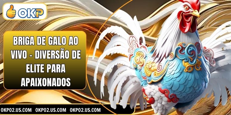 Briga De Galo Ao Vivo - Diversão De Elite Para Apaixonados