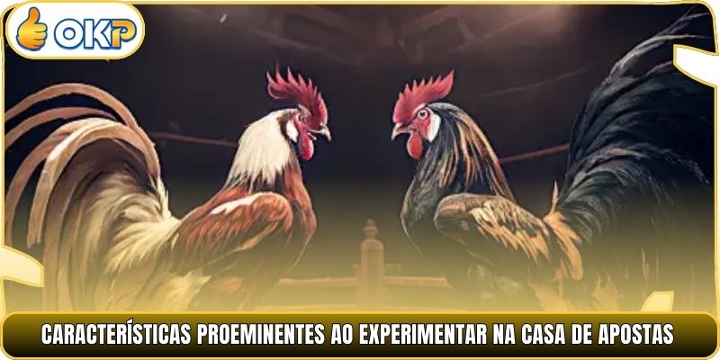 Características proeminentes ao experimentar na casa de apostas