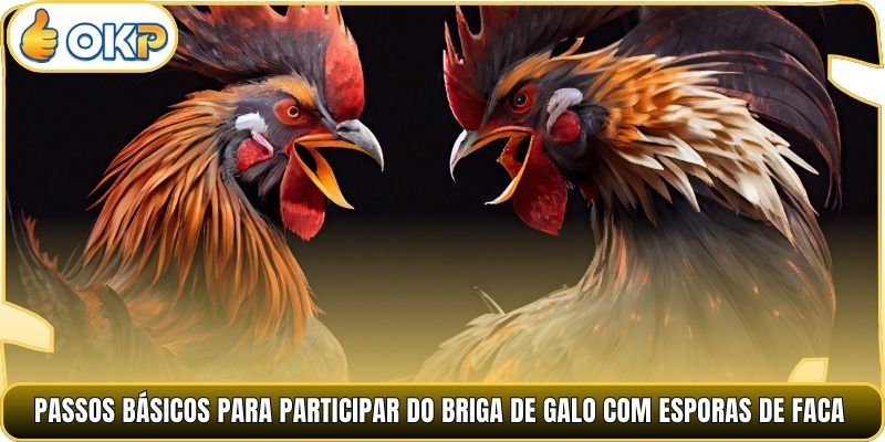 Passos básicos para participar do Briga de Galo com Esporas de Faca